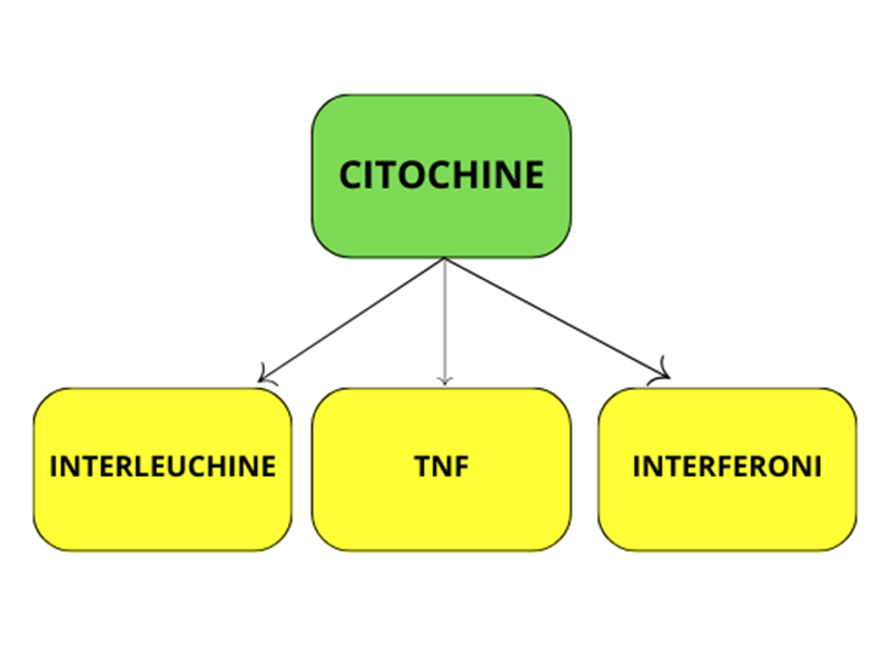 Effetti Biologici