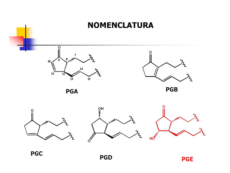 Effetti Biologici